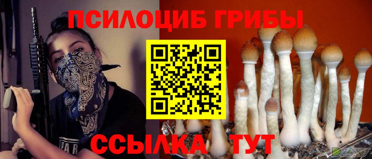 Королёв  Псилоцибиновые грибы прущие грибы  Псилоцибиновые грибы ЛСД  Вход с VPN 