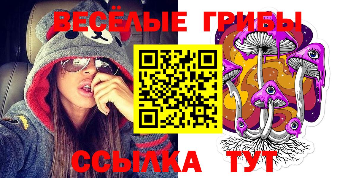 Псилоцибиновые грибы GOLDEN TEACHER Королёв